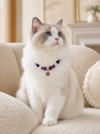 Pet wearing the KINLUME Imperial Twilight handmade natural crystal collar