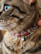 Pet wearing the KINLUME Strawberry Aura handmade natural crystal collar