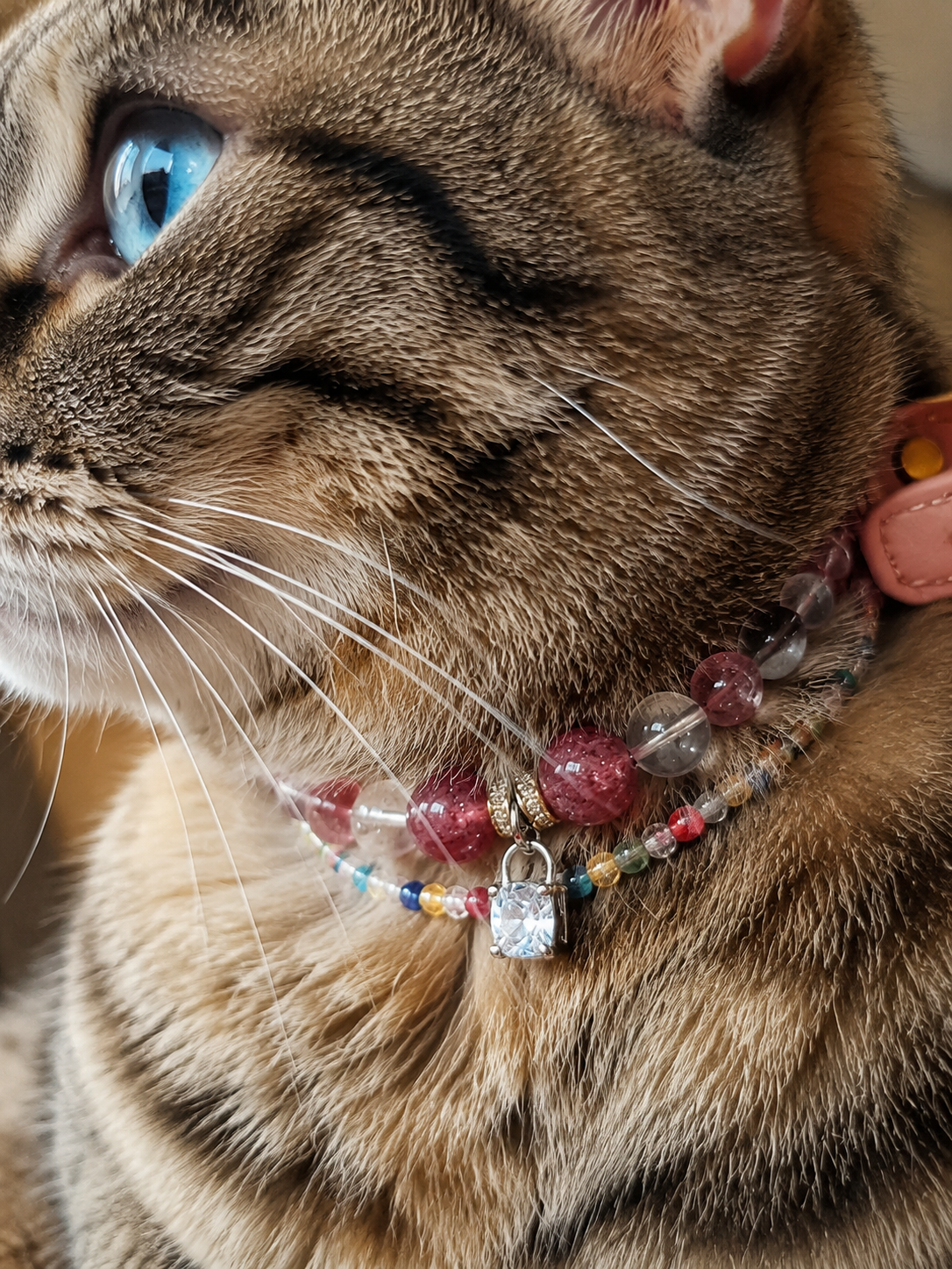 Pet wearing the KINLUME Strawberry Aura handmade natural crystal collar