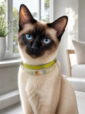 Pet wearing the KINLUME Lime Sorbet handmade natural crystal collar