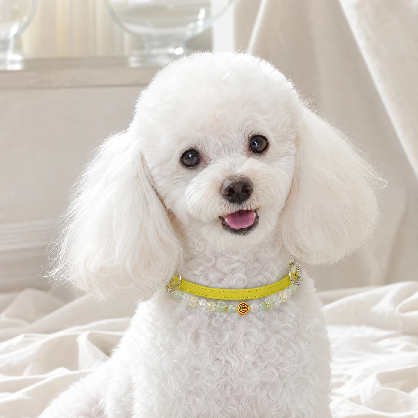 AI-assisted KINLUME studio styling image for Lime Sorbet — Handmade Prehnite, Fluorite & Cowhide Pet Collar